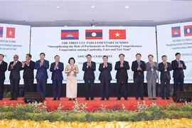 Vietnam values friendship, solidarity with Cambodia, Laos: NA Chairman
