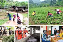 Over 240 million USD disbursed for 19 northern localities