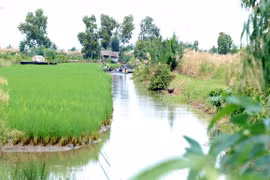 Ca Mau province to diversify aquaculture farming