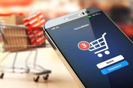 Webinar discusses e-commerce opportunities in Singapore, regional countries 