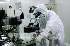 Vietnam considered rising star to become emerging market