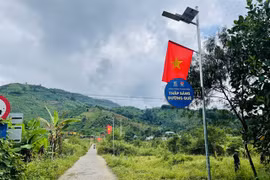 Green energy consumption promoted in community