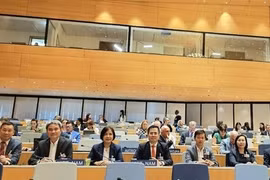 Vietnam keeps cooperating with WIPO in building global IP ecosystem: official