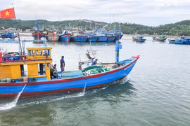 Quang Ngai ramps up efforts against IUU fishing