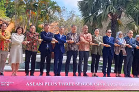 Vietnam attends ASEAN senior officials’ meetings in Indonesia