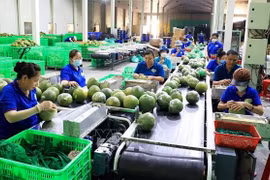 New record set in fruit, vegetable exports