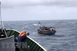 Vietnam, Thailand cooperate in maritime law enforcement