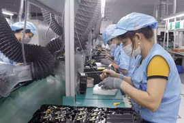 Foreign firms eye Vietnamese market