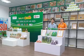 Hanoi to have 5-9 OCOP design and promotion centres 