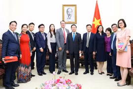 Vietnam, Japan foster cooperation in renewable, clean energy projects