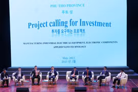 Economic, trade, investment cooperation – a pillar of Vietnam-RoK relations