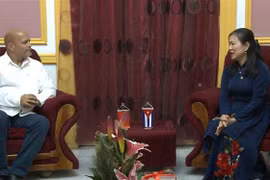 Vietnam Fatherland Front, Cuban Revolution Defence Committees maintain close cooperation