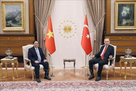 Vietnam, Türkiye to boost multifaceted cooperation