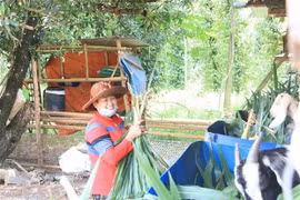 Binh Phuoc province helps more and more ethnic people escape poverty