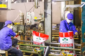 Fertiliser prices fall, firms to expand exports