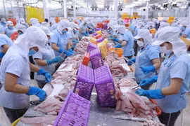 EVFTA positively affecting Vietnam's trade with EU, Germany: Expert