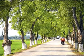 Ministry proposed to upgrade national highways connecting with Laos, China