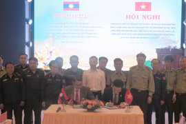 Vietnamese, Lao provinces intensify cooperation in forest protection