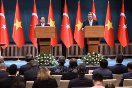 Vietnam, Türkiye agree to work for 4 billion USD in two-way trade 