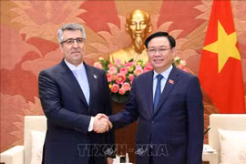 Top Vietnamese legislator’s visit to Iran to help expand bilateral ties: diplomat