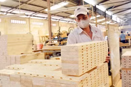 MoIT will strengthen efficiency in dealing with trade remedies in H2