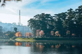 UNESCO Creative Cities Network membership brings about pride, responsibility: ambassador