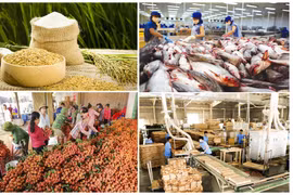 Agro-forestry-aquatic product exports post trade surplus of nearly 6 billion USD 