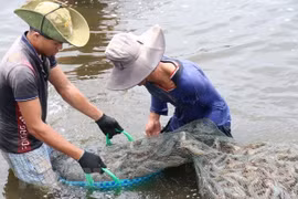 Workshop talks sustainable shrimp industry 