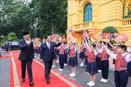 Vietnam, Malaysia play indispensable role in ASEAN: Malaysian expert