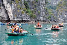 Tourism companies expect busy months to come with foreign visitors