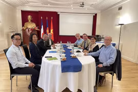 France-Vietnam medical federation a bright spot in cooperation: Official