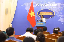 No Vietnamese casualties recorded in Morocco, Libya following disasters: spokeswoman