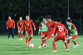 VFF set high targets for national football in 2024