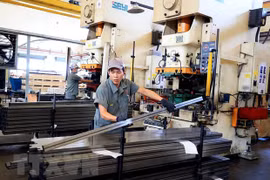 Dong Nai’s FDI attraction surpasses yearly plan 