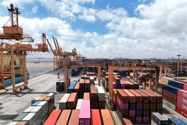 Alleged scam of export to UAE: Payment for 4 out of 5 containers recovered