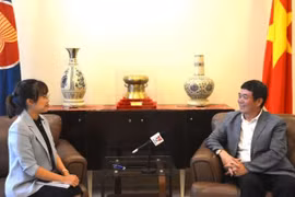 Vietnam to further contribute to strengthening ASEAN solidarity: ambassador