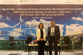 Vietnam's first blockchain peer-to-peer energy trading project launched