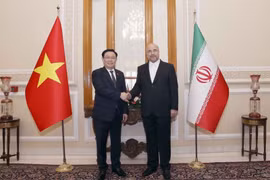Vietnam treasures friendship, multifaceted ties with Iran: NA Chairman