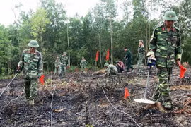 Vietnam determined to clear UXO to free land for development