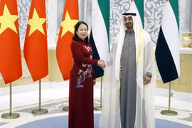 Vice State President meets with President of UAE