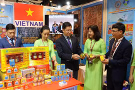 Vietnam, India hold huge potential to expand trade: Diplomat
