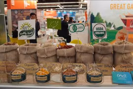 Vietnam attends organic food fair in Germany