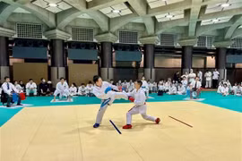 Karate tournament organised for overseas Vietnamese in Japan
