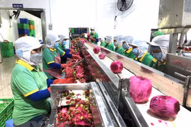  Vietnam, China seek to promote trading of agro-forestry-fisheries products