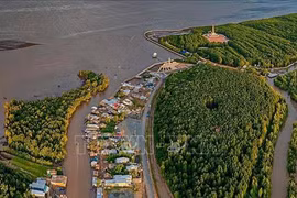 Decade-long general planning scheme for Cuu Long river basin approved
