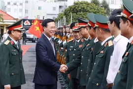 President visits Military Region 5