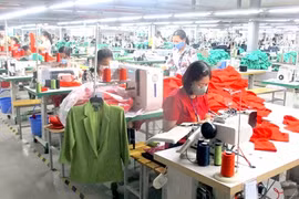 Vietnam's garment enterprises face increasing global competition