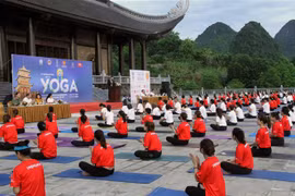 International Day of Yoga marked in Ha Nam province