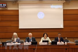Vietnam attends quarterly meeting of ASEAN Committee in Geneva