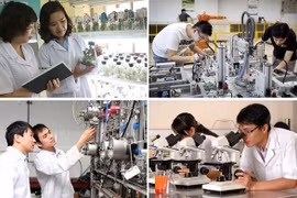 Vietnam, RoK enhance science, technology collaboration